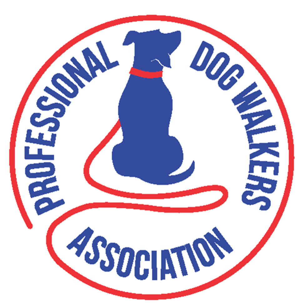 Professional dog hot sale walking